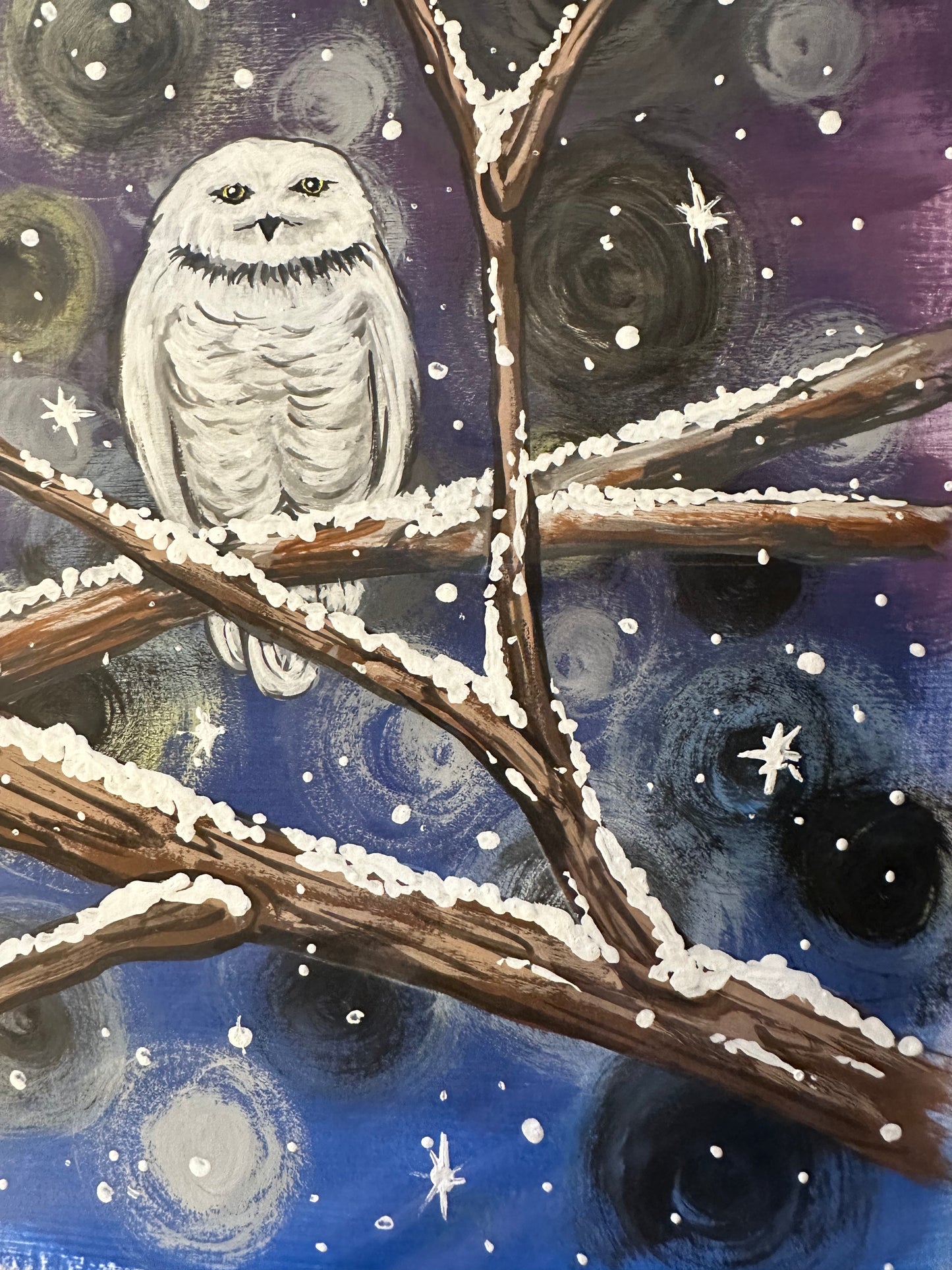 February 27th - Snowy Owl Paint Night Out with Katie!